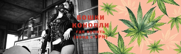 стаф Карталы