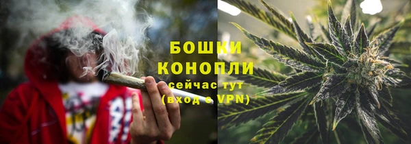 дмт Карпинск