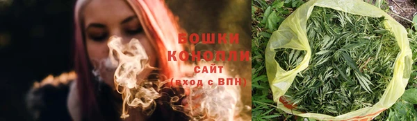 дмт Карпинск
