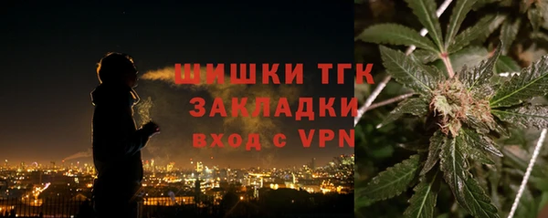 дмт Карпинск