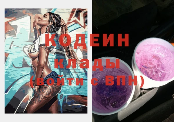 дмт Карпинск