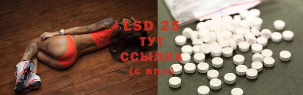 стаф Карталы