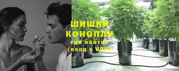 стаф Карталы