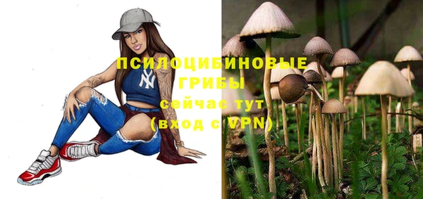 а пвп мука Новодвинск